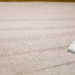 This is a photo of a carpet steam cleaner cleaning a cream carpet works carried out by Tooting Carpet Cleaning