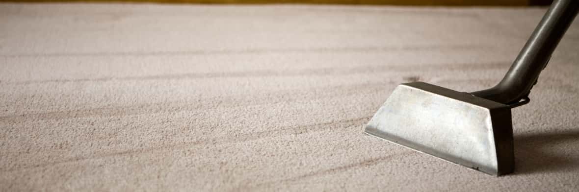 This is a photo of a carpet steam cleaner cleaning a cream carpet works carried out by Tooting Carpet Cleaning